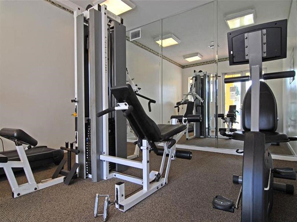 a gym with weights and a tv in a room