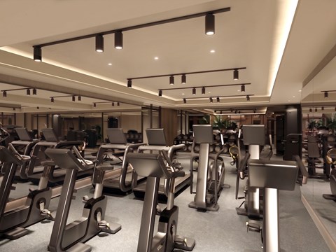 A gym with treadmills and elliptical machines.