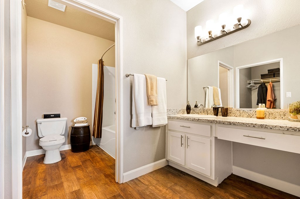 a bathroom with a toilet and a sink and a mirror