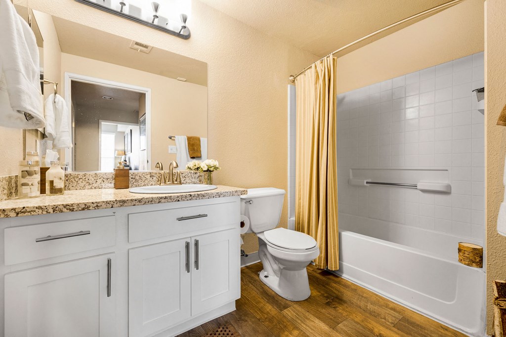 a bathroom with a shower toilet and sink and a mirror