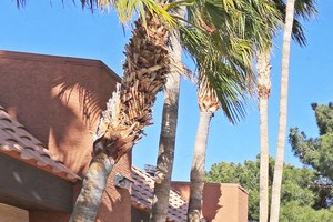 2255 East Sunset Road Studio-3 Beds Apartment for Rent - Photo Gallery 4