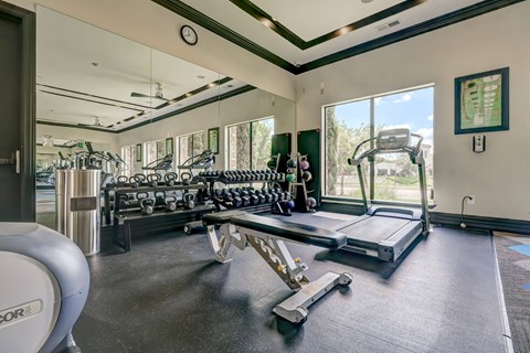 a large fitness room with cardio equipment and large windows