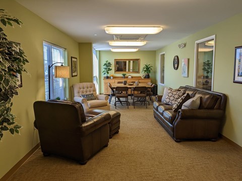 A living room with a brown couch, a chair, and a dining table with chairs around it.