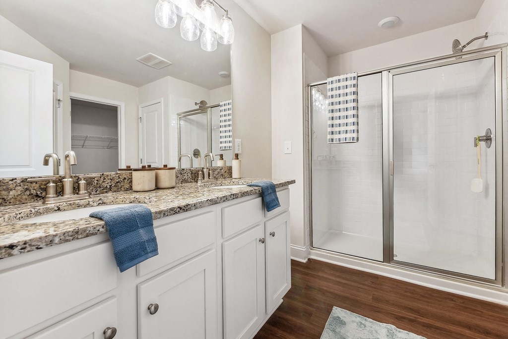 a bathroom with a sink and a shower