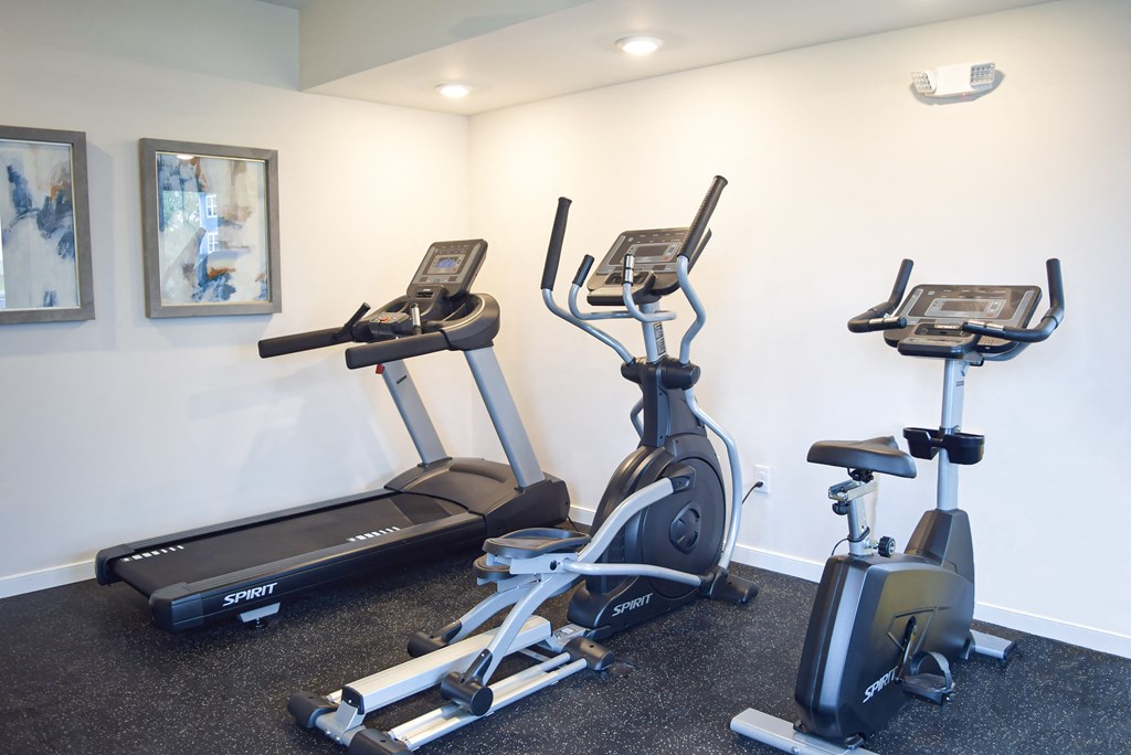 two treadmills and ellipticals in the gym at the preserve at polk
