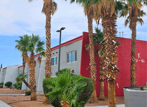 Palm trees in front of a building with a red wall.