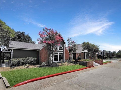 A red flowering tree is in front of a building.