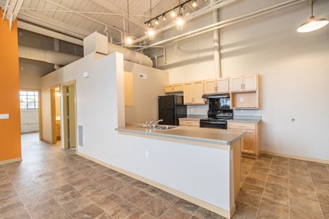 A kitchen area with a counter and cabinets.