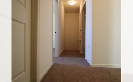 the hallway leading to the bedrooms and the closet