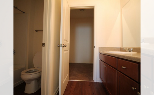 a bathroom with a toilet and a sink