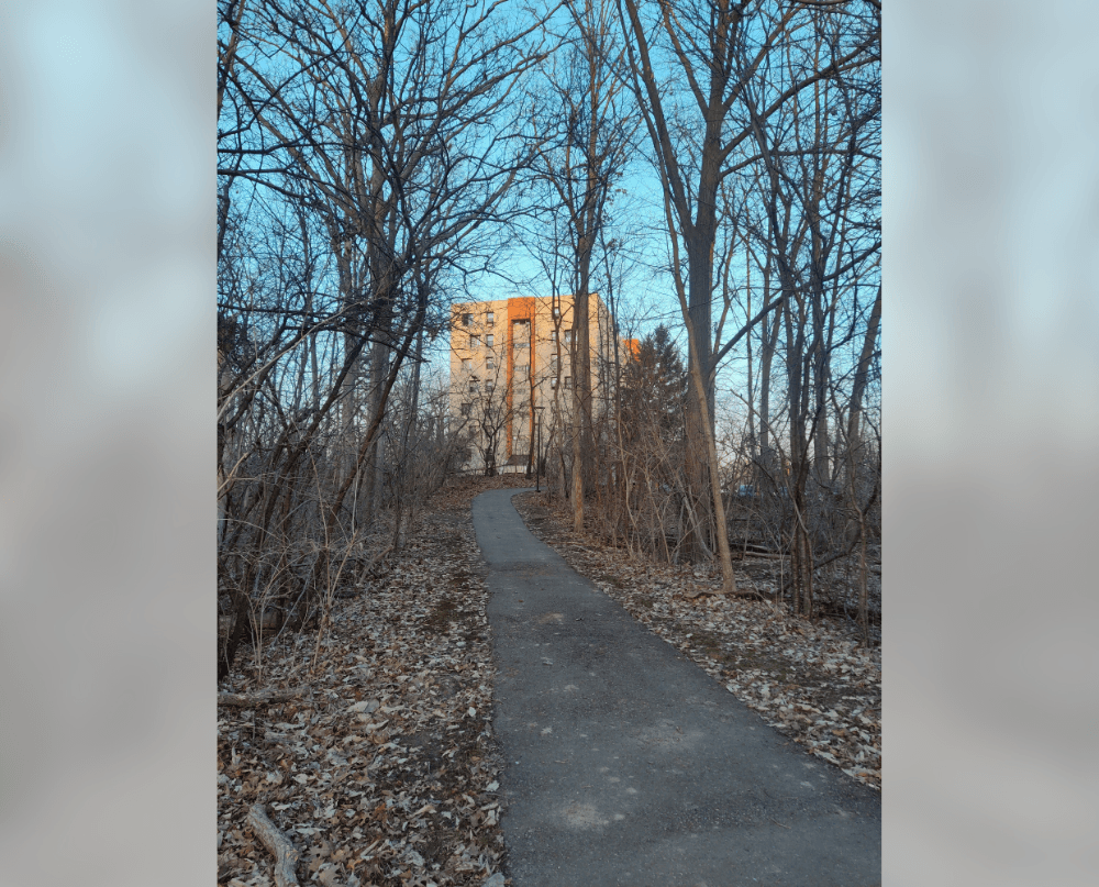 a path through the woods with a building in the background