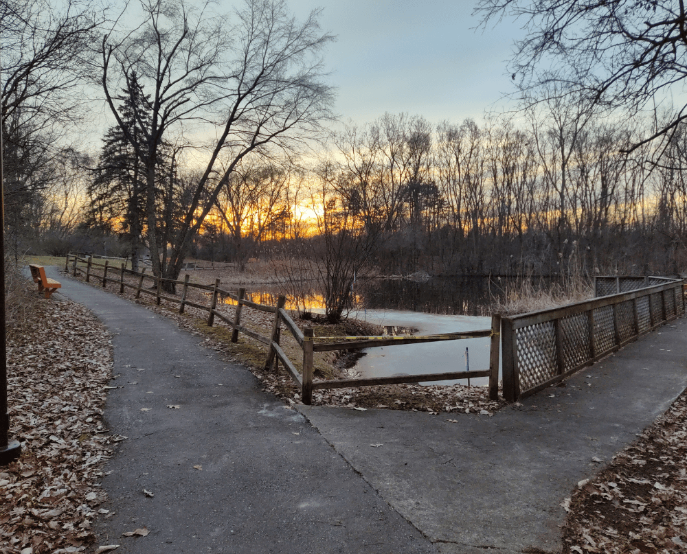 a path next to a pond with trees and a fence