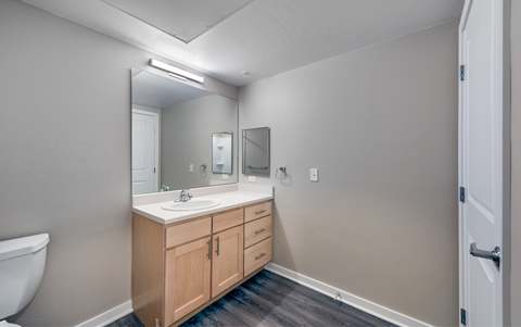 a bathroom with a sink and a mirror and a toilet