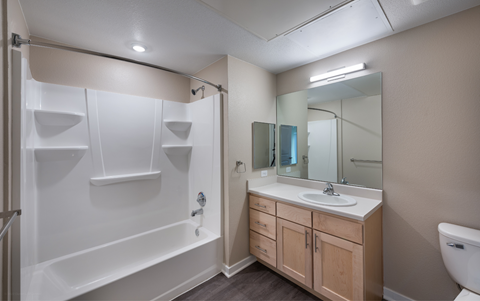 a bathroom with a shower sink and mirror and a toilet