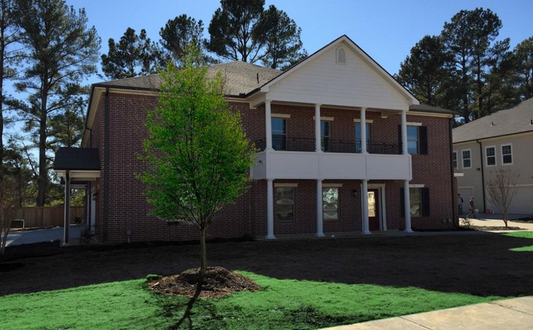 a tree in front of a brick house