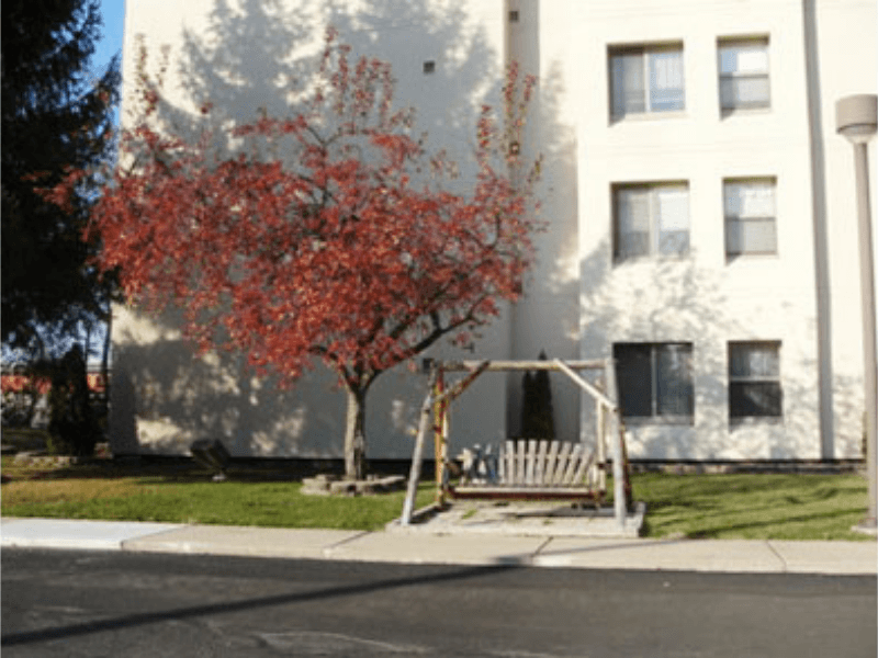 a white building with a swing set in front of a tree