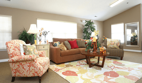 a living room filled with furniture and a large rug
