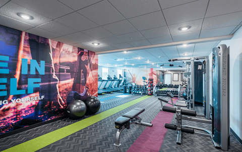 a gym with weights and exercise equipment on a carpeted floor