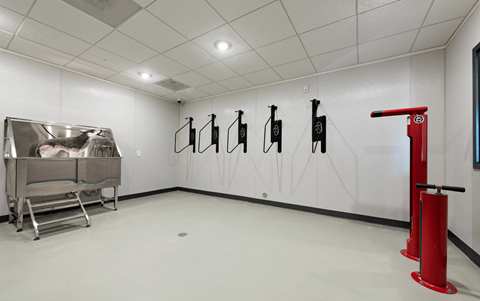 a large white room with a cart and saddles on the wall