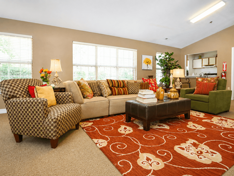 A living room with a patterned rug and a brown sofa.