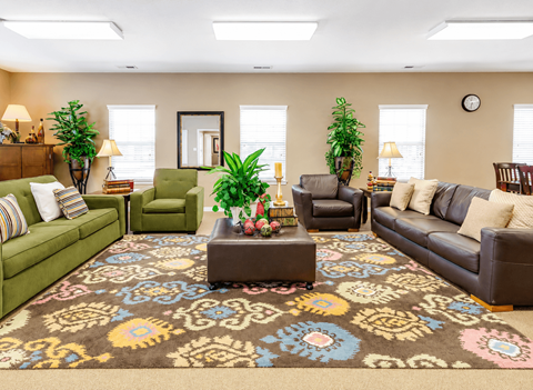 A living room with a patterned rug and a green couch.