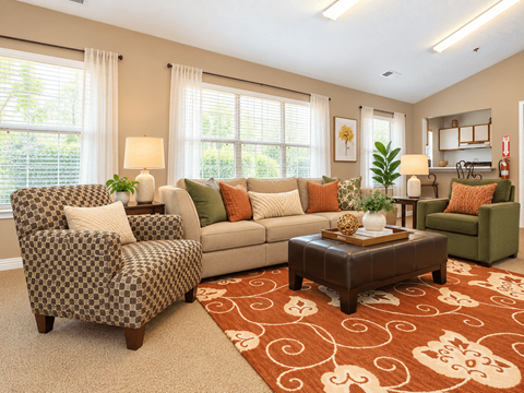 A living room with a patterned chair and a couch with throw pillows.