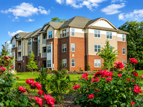 250 Willow Oaks 2-3 Beds Apartment for Rent