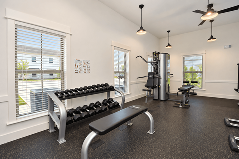 A gym with a bench, weights, and a fan.