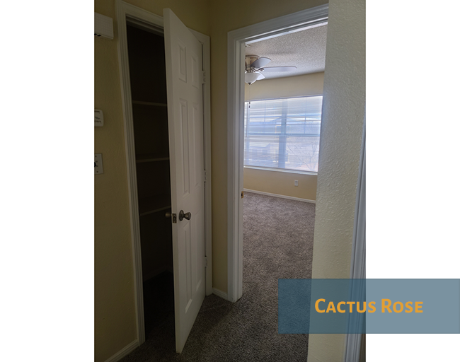 A hallway with a white door and a carpeted floor.
