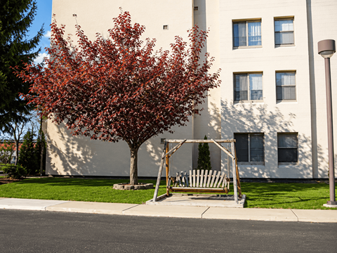A tree with red leaves is in front of a white building.