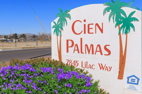 a sign for a cien palmas with purple flowers