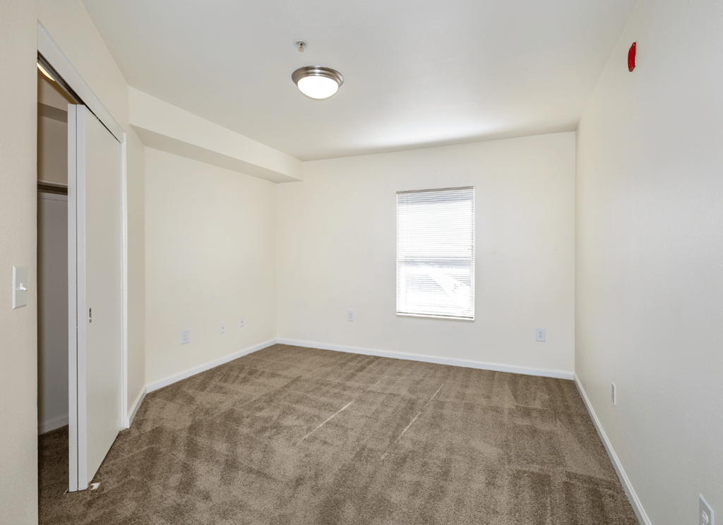 A room with a carpeted floor and a window with blinds.