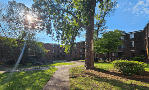 our apartments are located in a quiet area with a tree