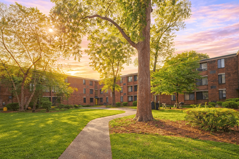 A tree stands in front of a building with a walkway in between.