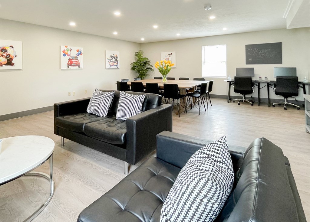 A black leather couch with a checkered pillow sits in a well lit room.
