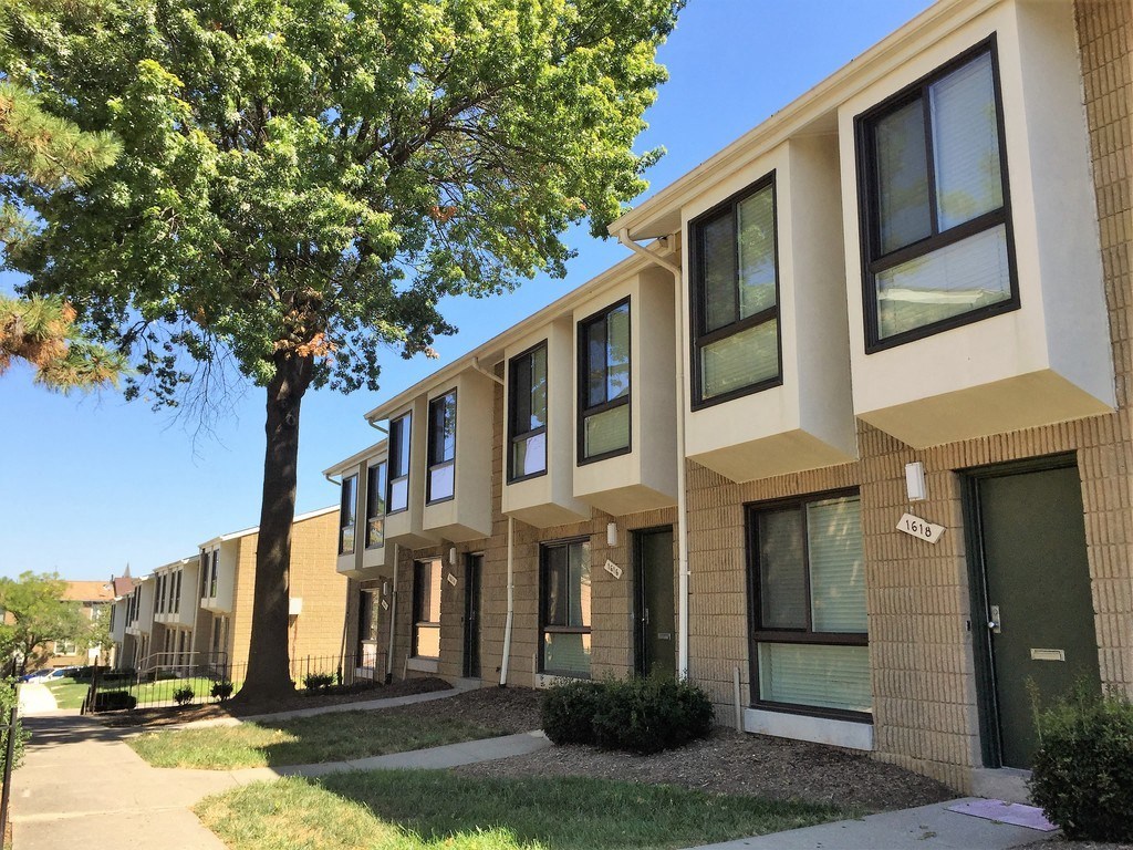 A tree is in front of a building with windows.