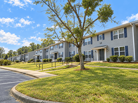 A tree stands in front of apartment buildings.