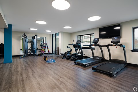 A gym with treadmills, weights, and a television.
