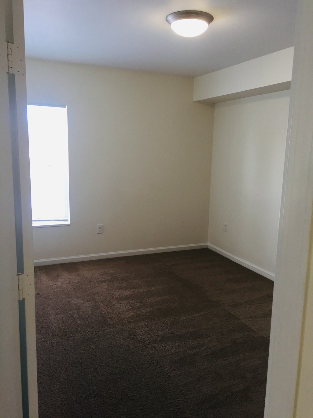 a room with a carpet and a window