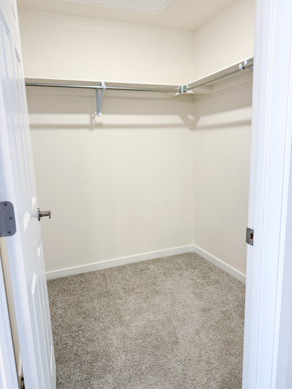 an empty closet in a bathroom with a carpeted floor and white walls