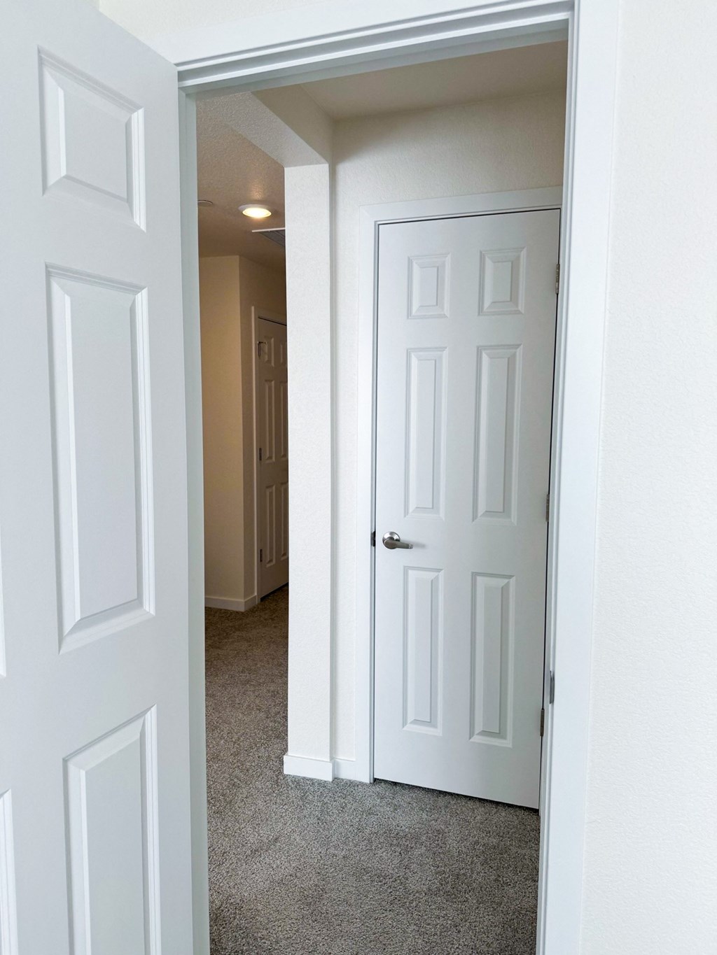 an open door into a hallway with white doors and a carpeted floor