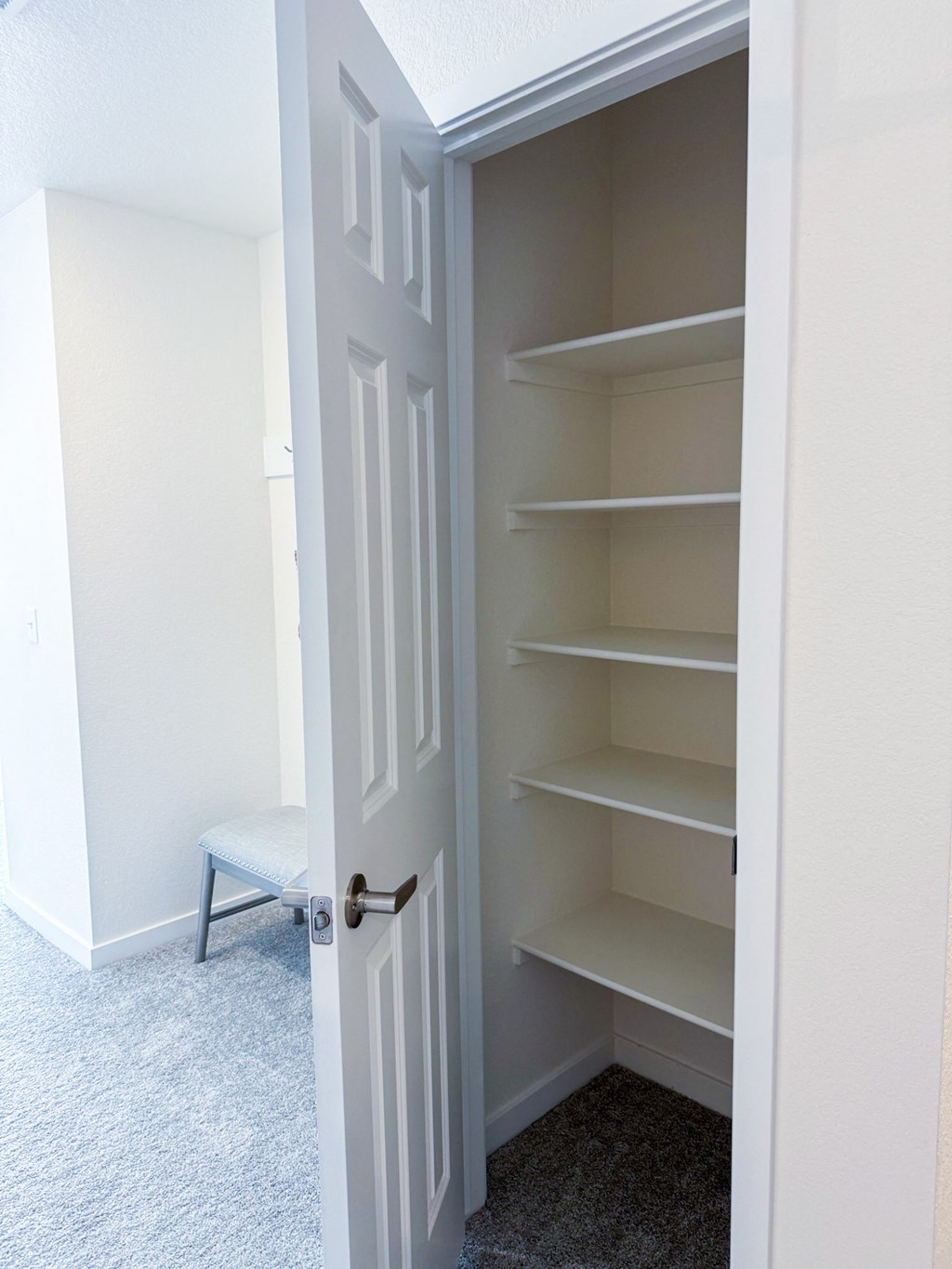 a small closet with shelves and a white door