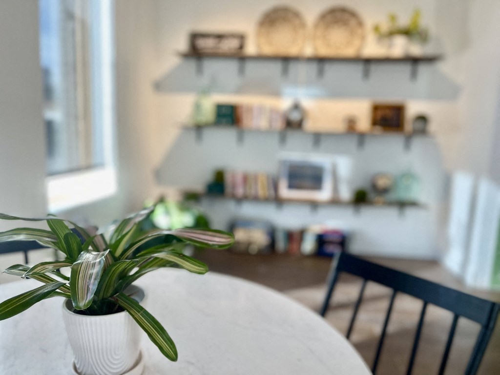 a potted plant sitting on a table in a living room