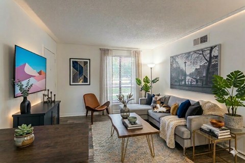 A living room with a grey couch, a wooden coffee table, and a painting on the wall.