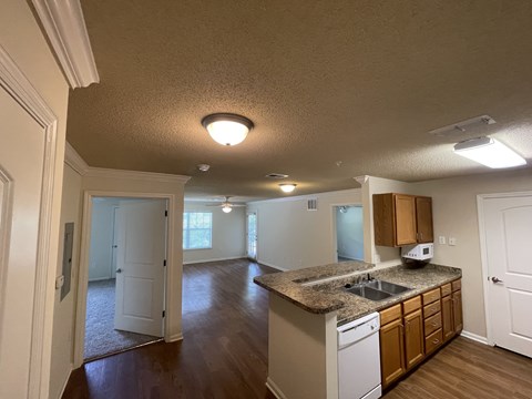 A kitchen with a sink, counter, and cabinets.