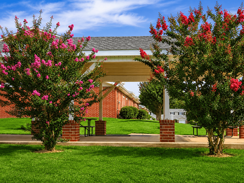 A building with a covered walkway is flanked by two trees with pink flowers.