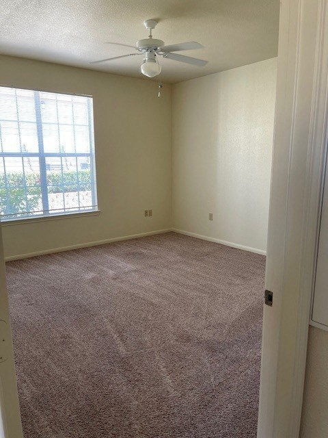 A room with a ceiling fan and carpeted floor.