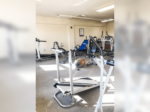 a group of exercise equipment in a gym