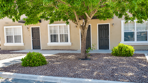 A tree in front of a building with a black door.