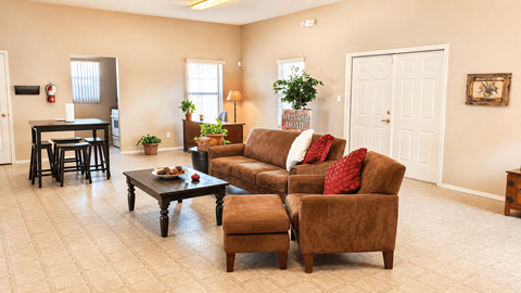 A living room with a brown couch and a coffee table.